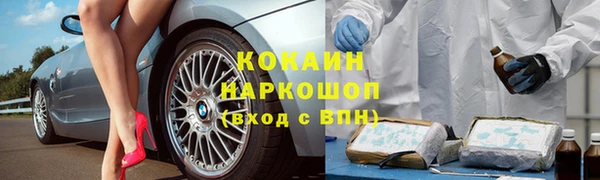 молекула духа Алексин