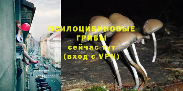 герыч Алзамай
