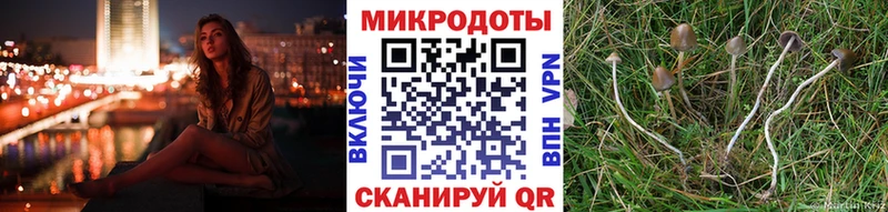 Псилоцибиновые грибы прущие грибы  Королёв 